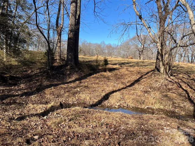 a view of a yard with lots of trees