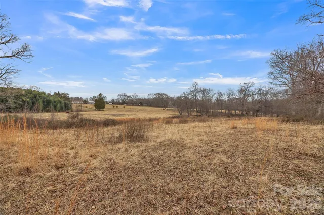 a view of a yard with furniture and a garden