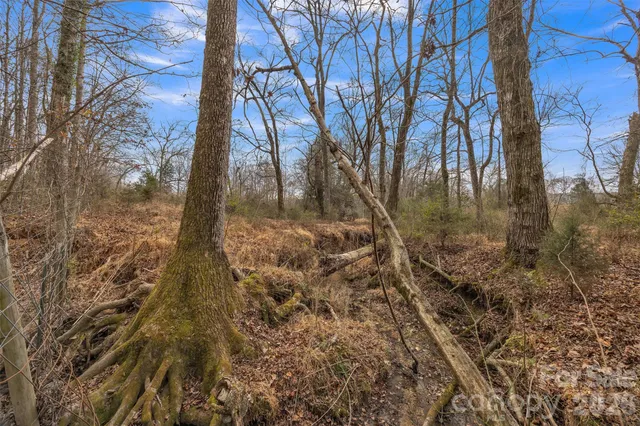 a view of a yard with trees in the background