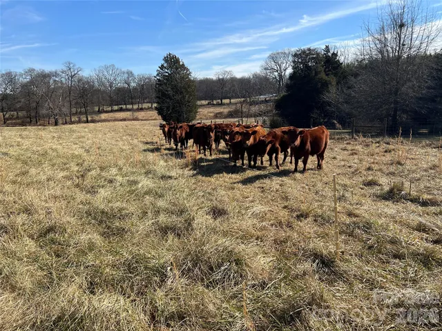 a view of a outdoor space with trees