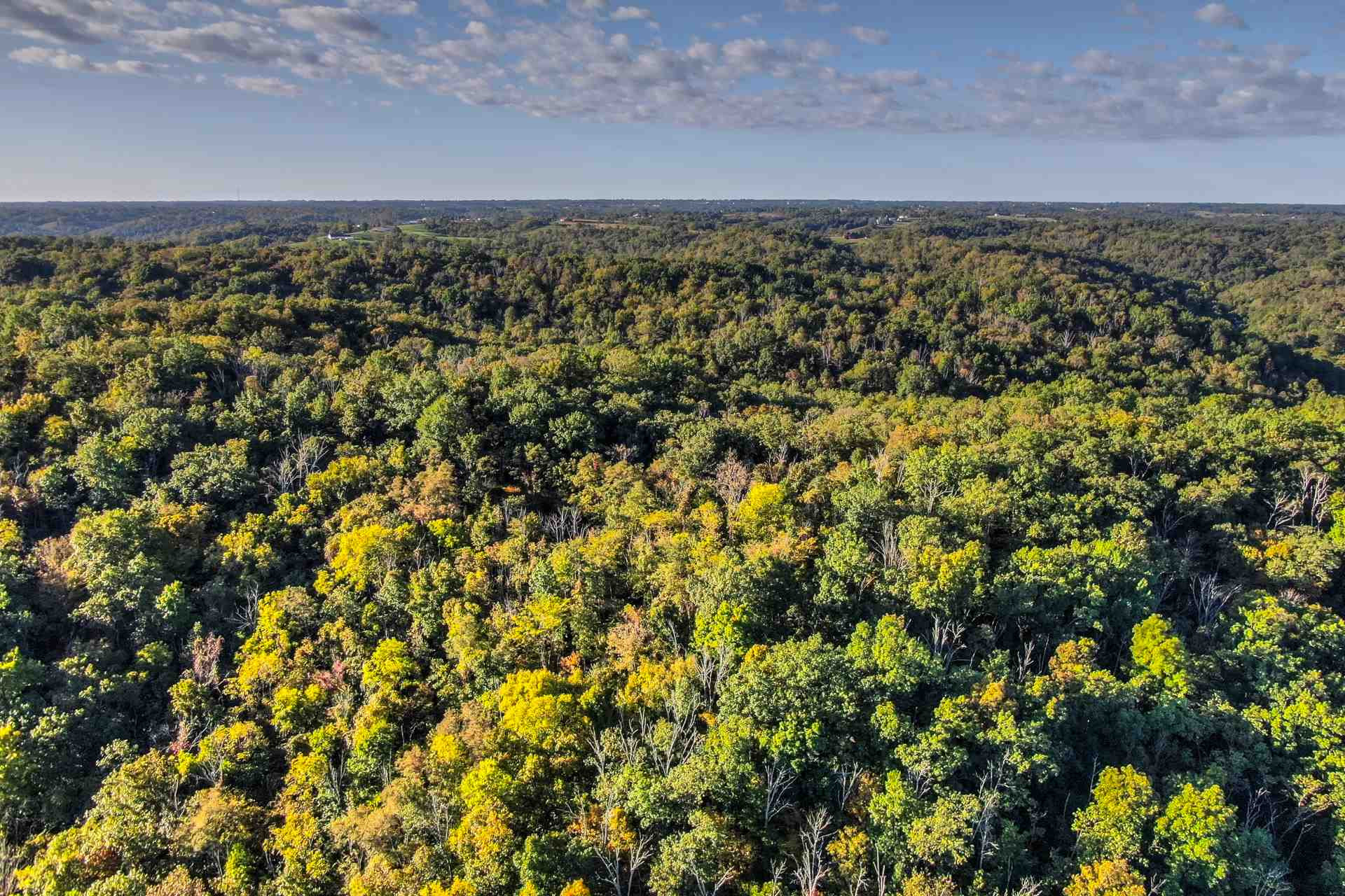 0 Bradford Tract B Road Foster, KY 41043 - Photo 2 of 9