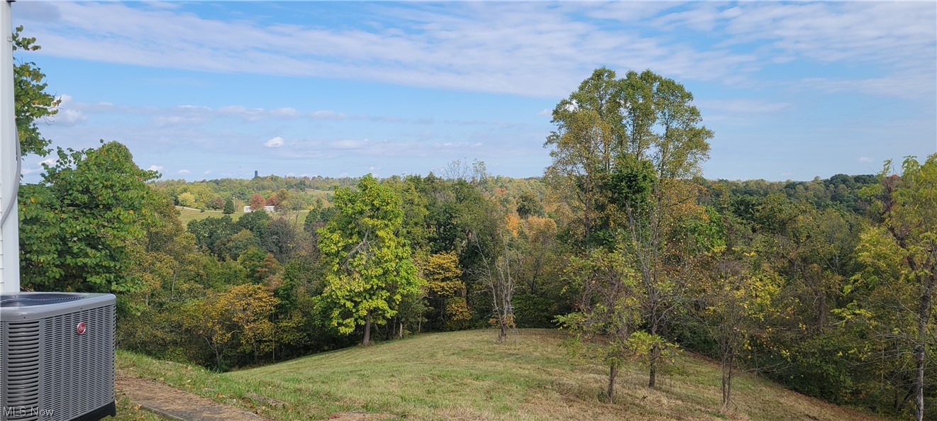 2800 South State Rte 78 Malta, OH 43758 - Photo 9 of 21 view of the back yard and scenery