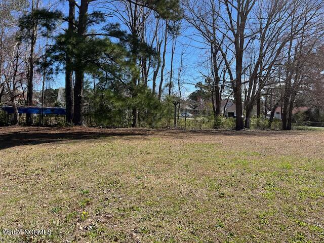 359 Running Road Jacksonville, NC 28546 - Photo 5 of 8 IMG_6006