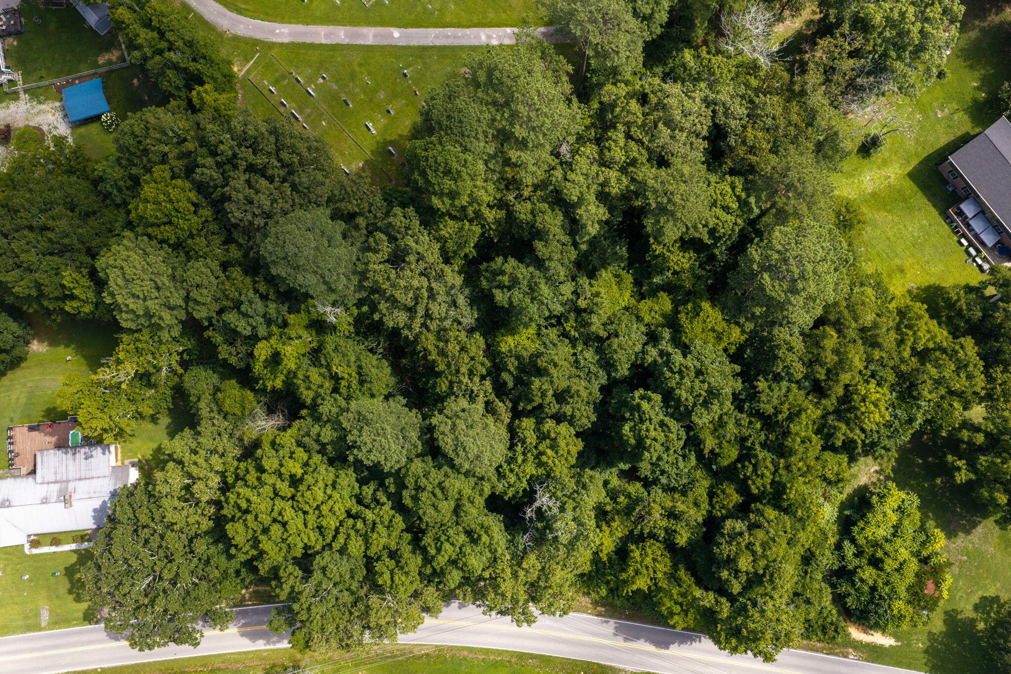 0 Wooten Road Ringgold, GA 30736 - Photo 6 of 6 11-web-or-mls-DJI_20260722112635_0364_D-