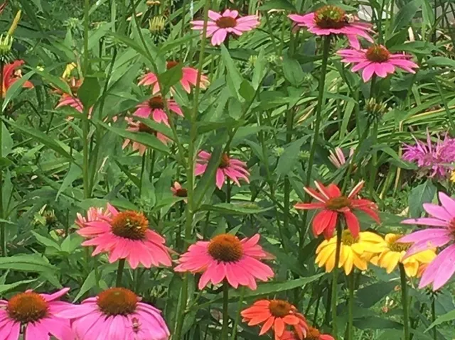 $495,000 | 139 Water Street, Northampton, MA 01053