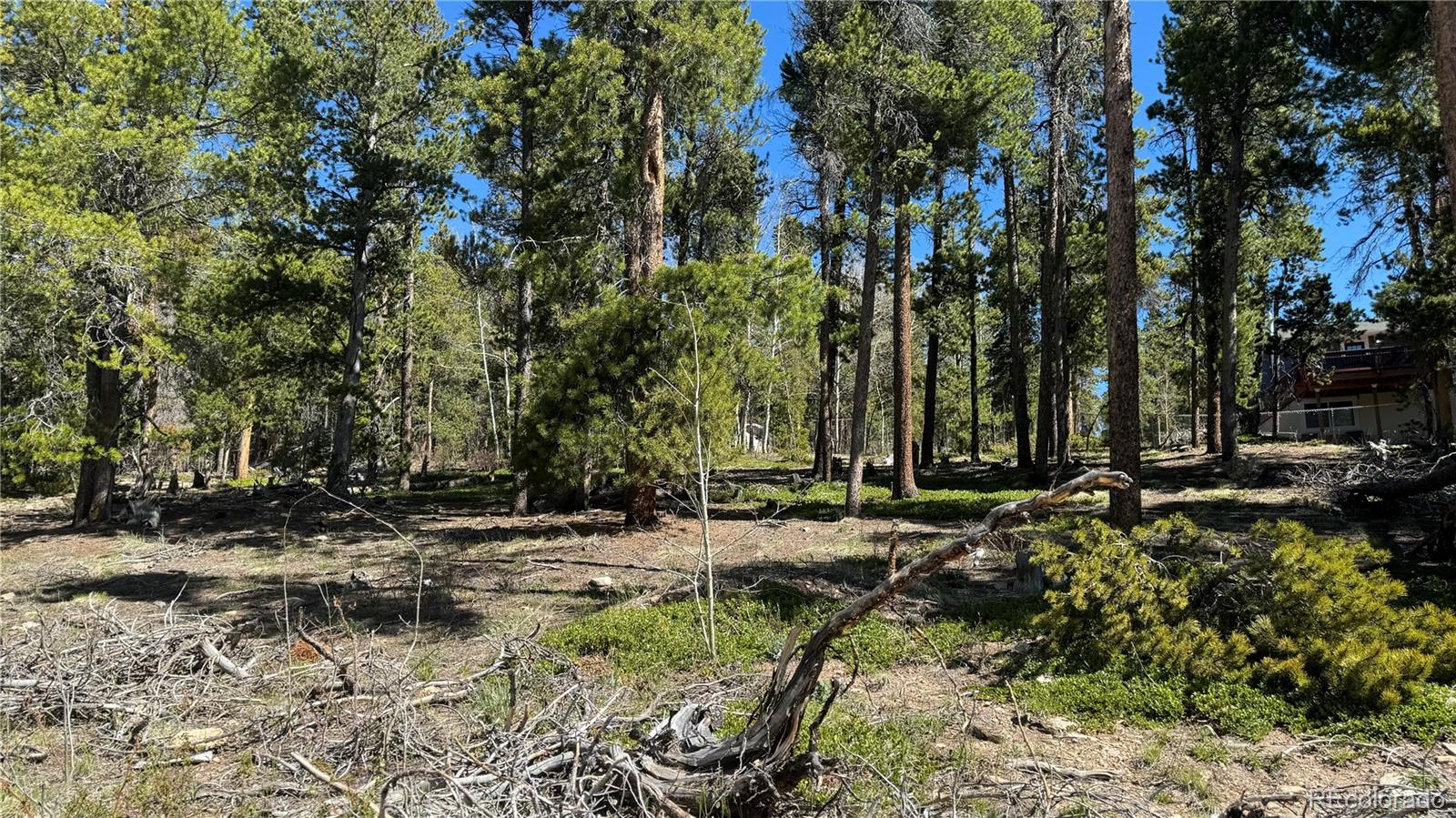 1 Timber Road Black Hawk, CO 80422 - Photo 7 of 7 Gallery Image 7