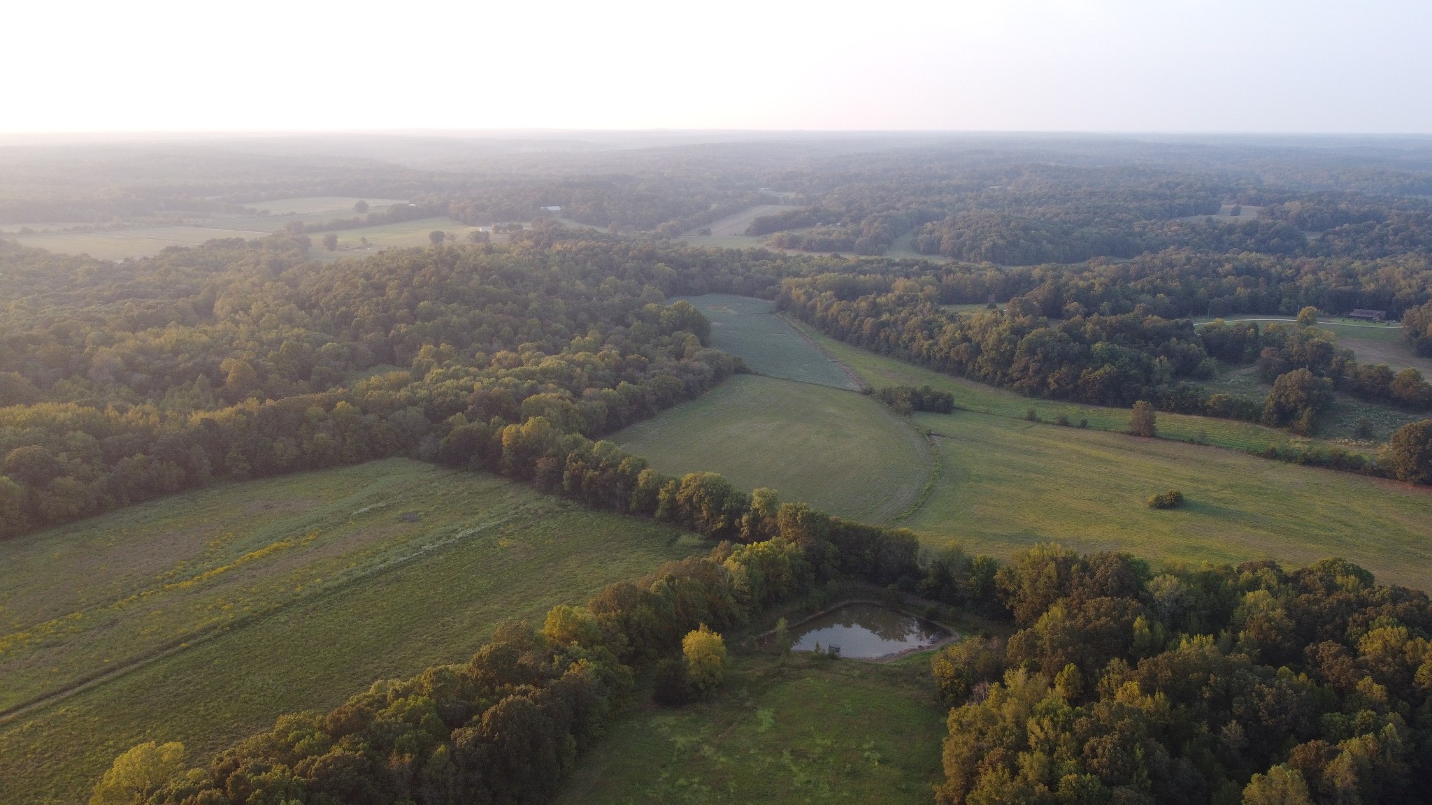 599 DT Vise Loop Parsons, TN 38363 - Photo 50 of 54