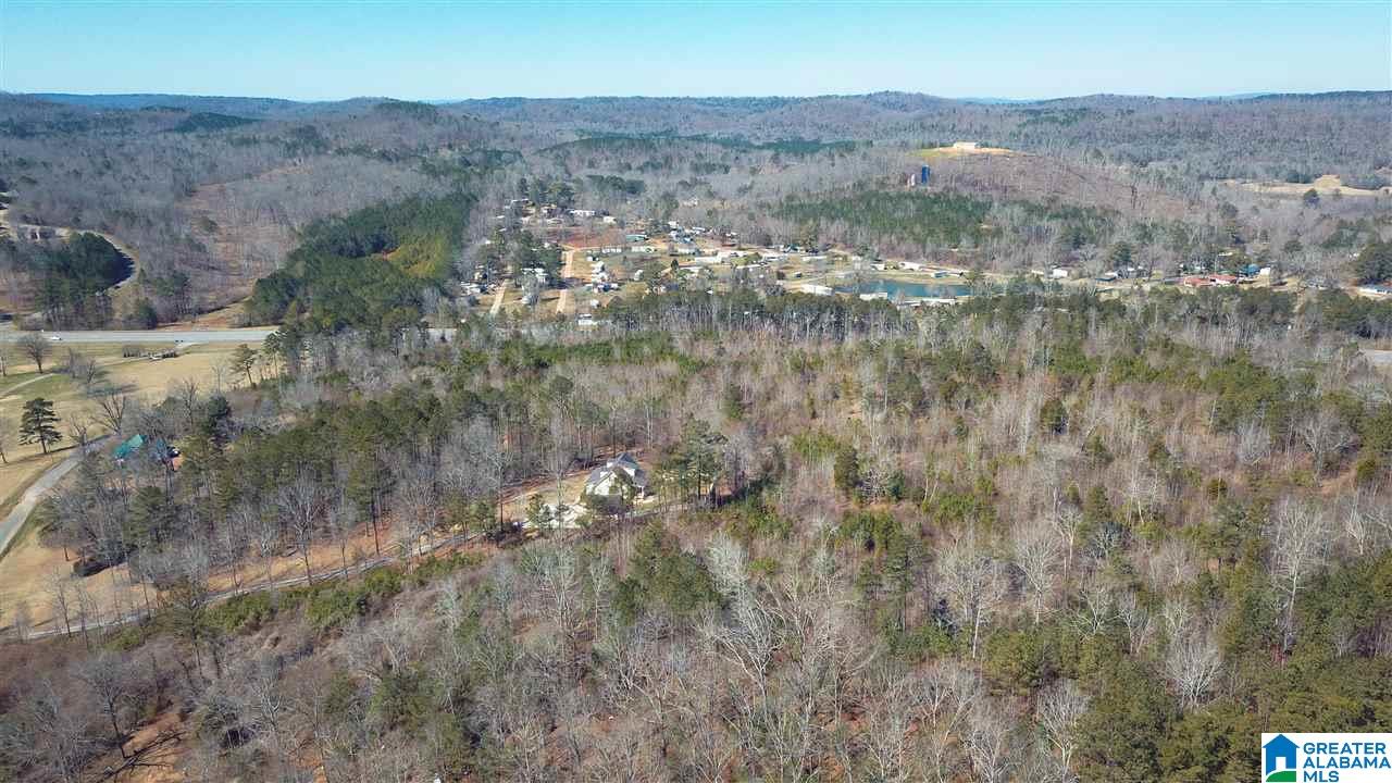 0 Highway 75, Unit 29 38 Oneonta, AL 35121 - Photo 26 of 30