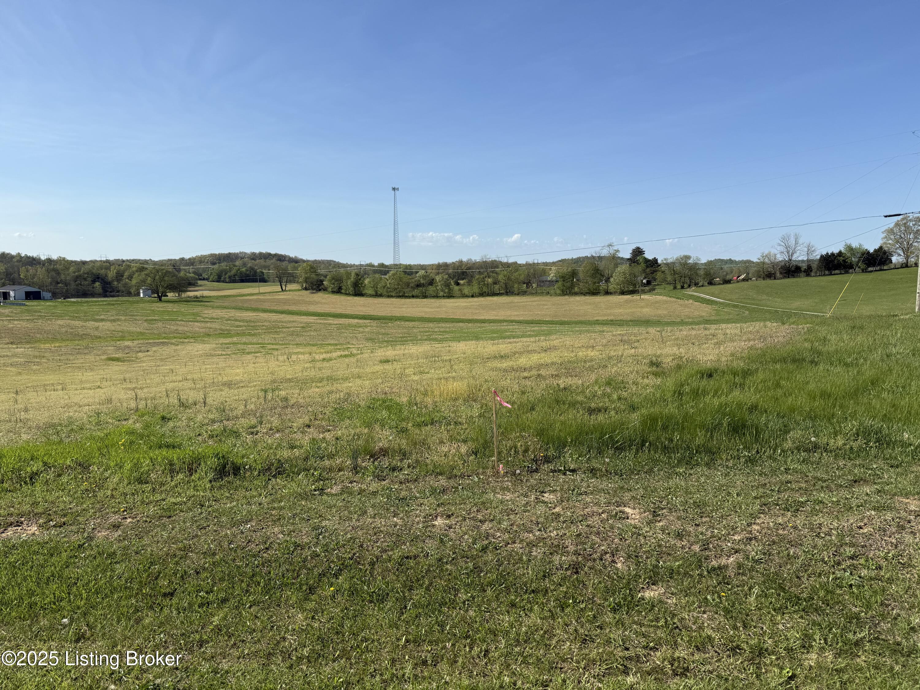 Lot 2 Blueball Church Road Elizabethtown, KY 42701 - Photo 14 of 15 IMG_5967