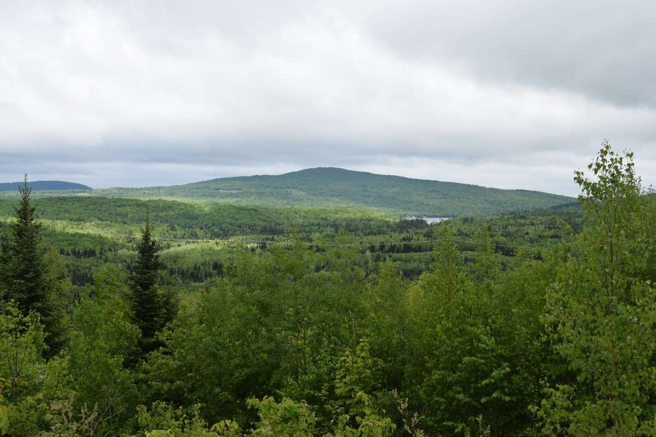 1174 Oregon Road Concord, VT 05906 - Photo 4 of 23