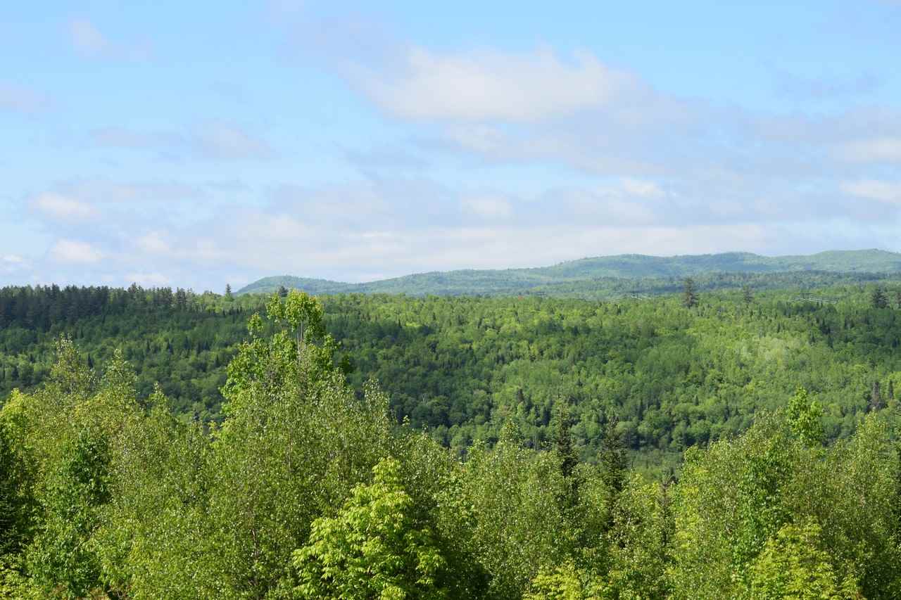 1174 Oregon Road Concord, VT 05906 - Photo 8 of 23