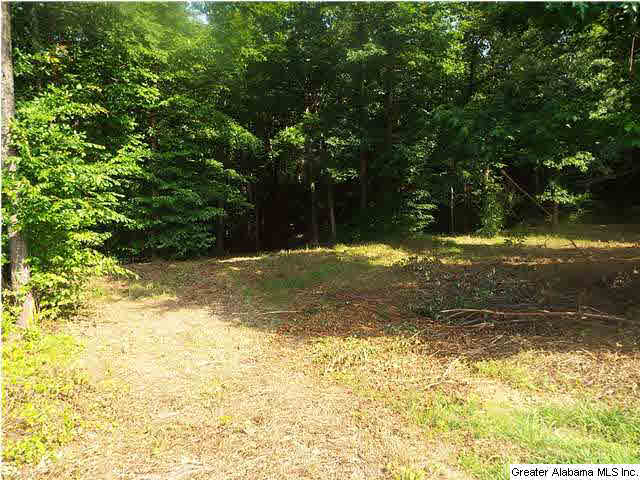 Riverview Court, Unit 114 Cleveland, AL 35049 - Photo 12 of 13