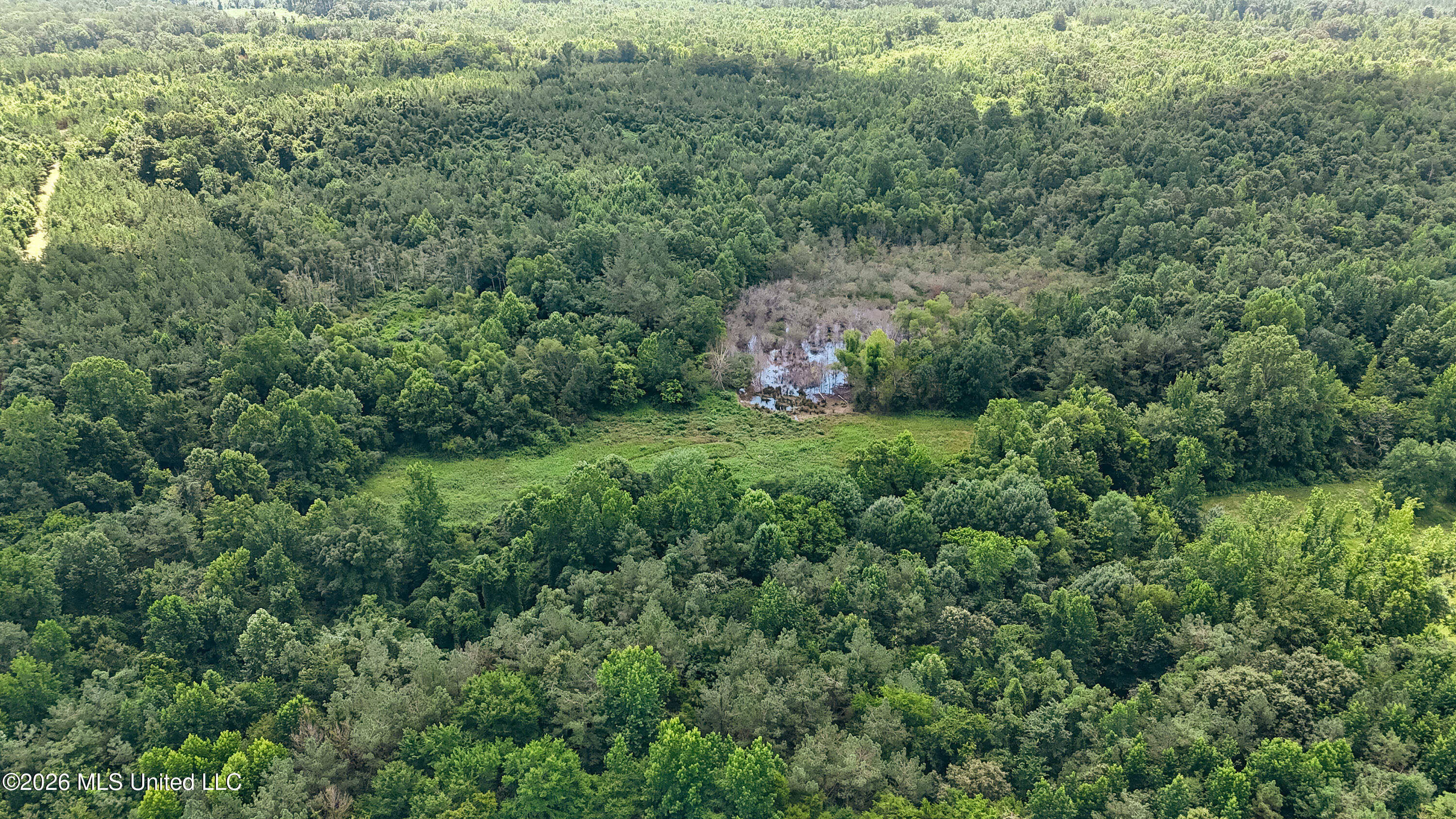 828 Little Egypt Road Ashland, MS 38603 - Photo 64 of 101 DJI_20260630115743_0330_D