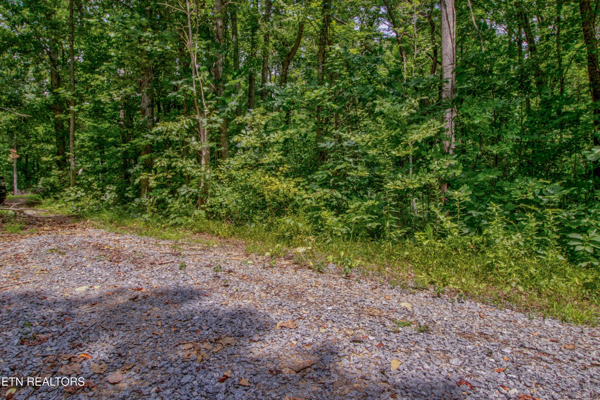 8668 Lakeshore Drive Rutledge, TN 37861 - Photo 35 of 58 Gallery Image 35