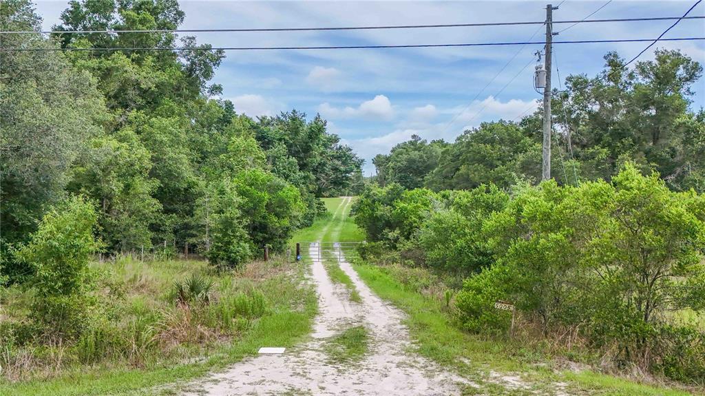 5501 Cemetery Road Mount Dora, FL 32757 - Photo 4 of 16