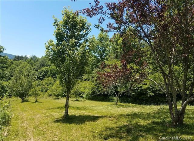 285 Gibson Branch Road Clyde, NC 28721 - Photo 5 of 24