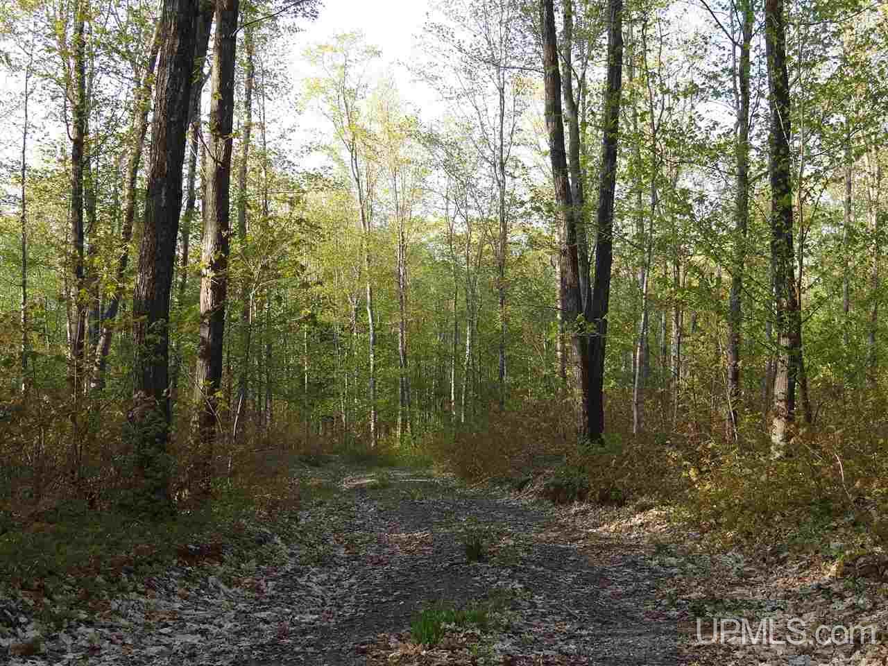 Tbd Coles Creek Road, Unit PARCEL 11 Hancock, MI 49931 - Photo 12 of 12
