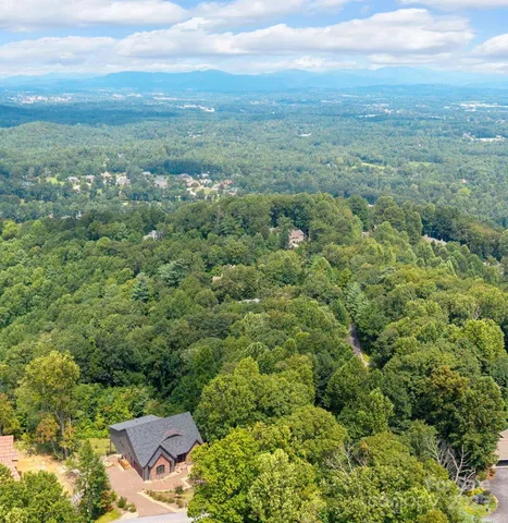 view of a city with lush green forest