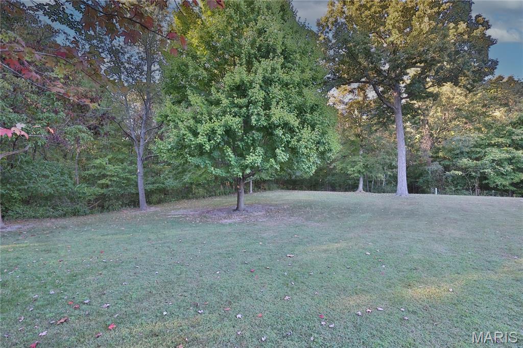 13844 Rock Road Gillespie, IL 62033 - Photo 13 of 47