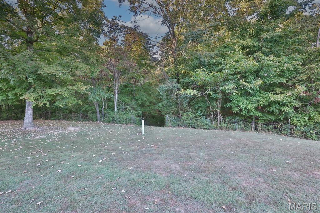 13844 Rock Road Gillespie, IL 62033 - Photo 14 of 47