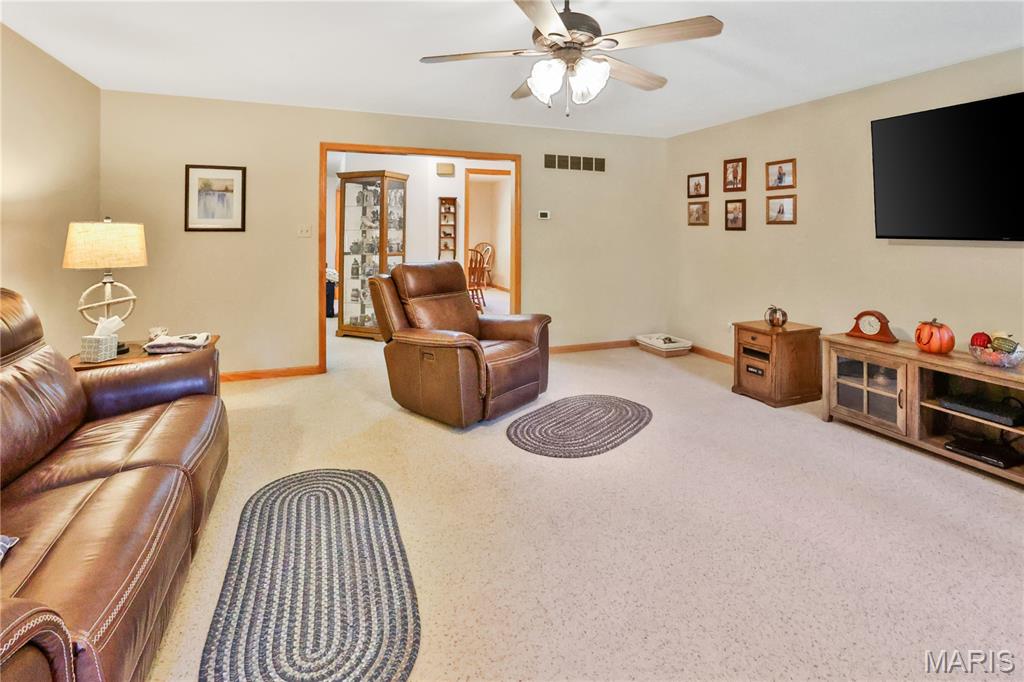 13844 Rock Road Gillespie, IL 62033 - Photo 26 of 47