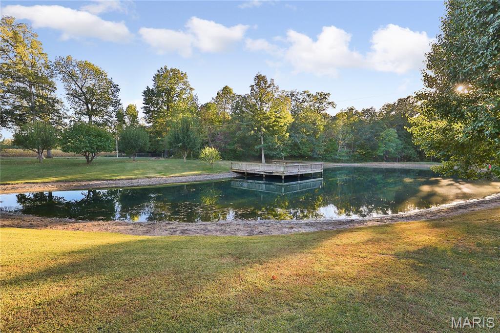 13844 Rock Road Gillespie, IL 62033 - Photo 9 of 47