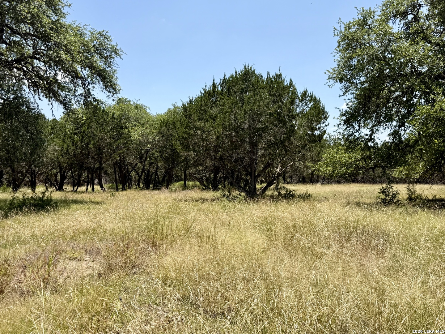43-acres Sattler Road Spring Branch, TX 78070 - Photo 37 of 42 Gallery Image 37