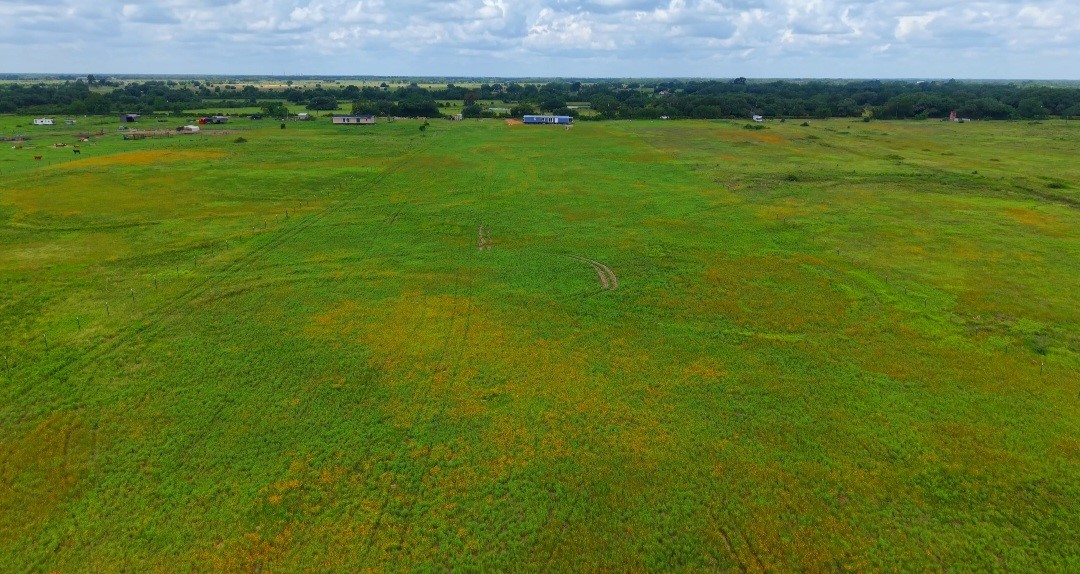 1087 Cr 141 Road Rock Island, TX 77470 - Photo 3 of 18