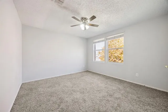 a view of a yard with palm tree