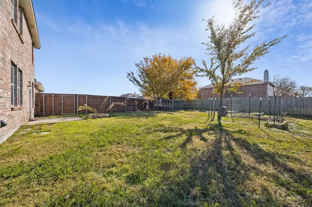 a view of a yard with a large tree