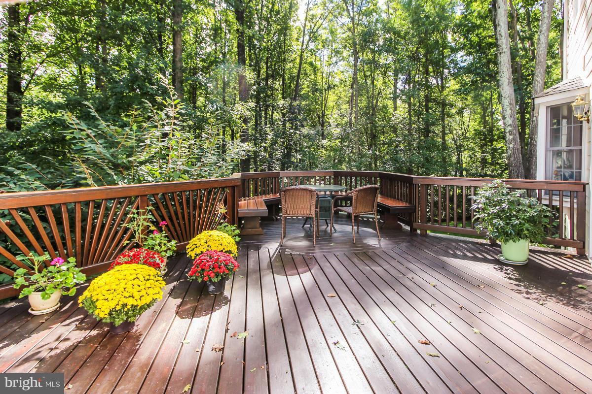 10901 Wilder Point Lane Reston, VA 20191 - Photo 15 of 30 Expansive Deck adjacent to Screened Porch