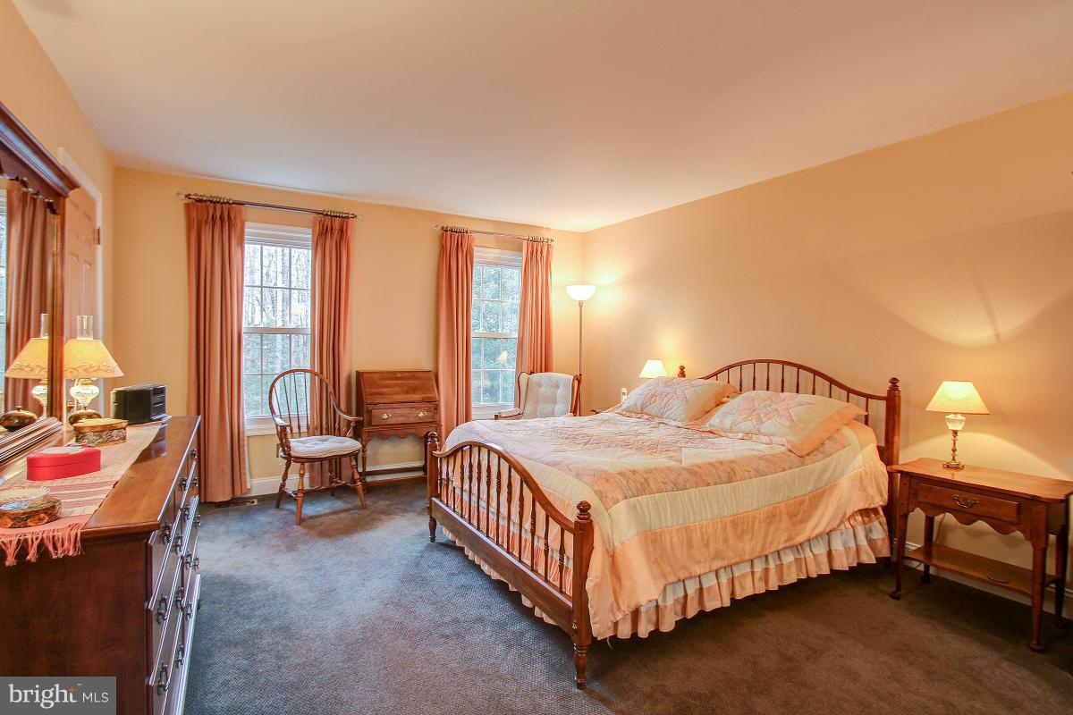 10901 Wilder Point Lane Reston, VA 20191 - Photo 16 of 30 Beautiful Master Bedroom