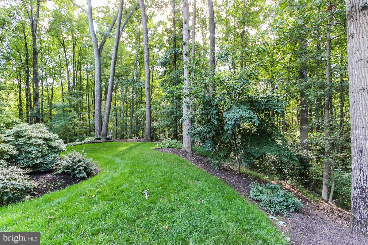 10901 Wilder Point Lane Reston, VA 20191 - Photo 26 of 30 Gorgeous yard