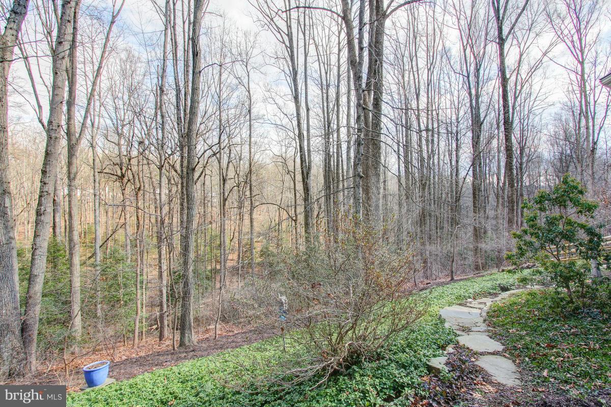 10901 Wilder Point Lane Reston, VA 20191 - Photo 28 of 30 Acres of parkland surround the home