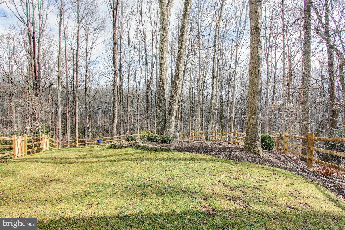 10901 Wilder Point Lane Reston, VA 20191 - Photo 29 of 30 Exterior (Rear)