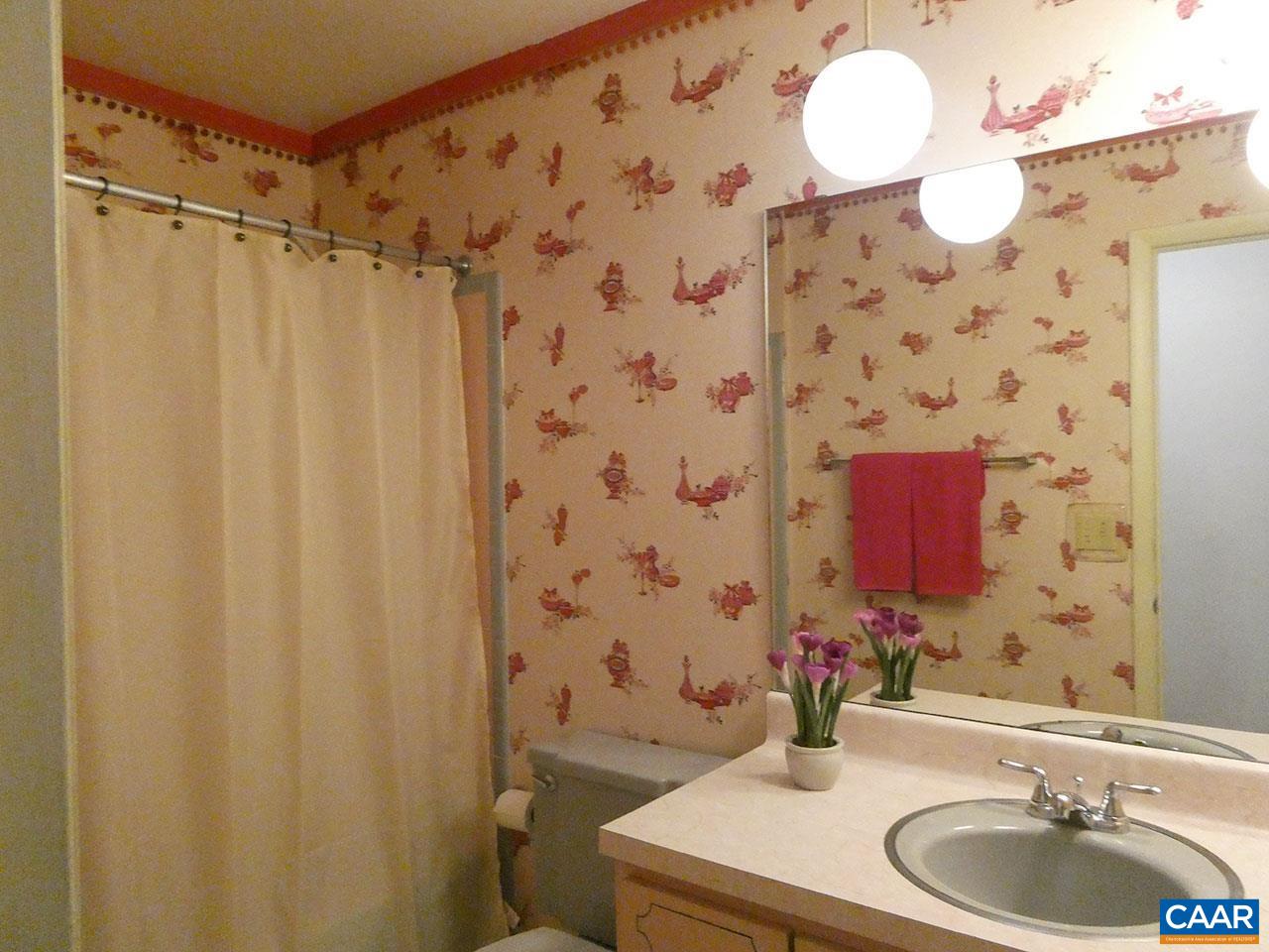 106 Elkhorn Road Charlottesville, VA 22903 - Photo 18 of 27 a bathroom with a sink a toilet and shower curtain