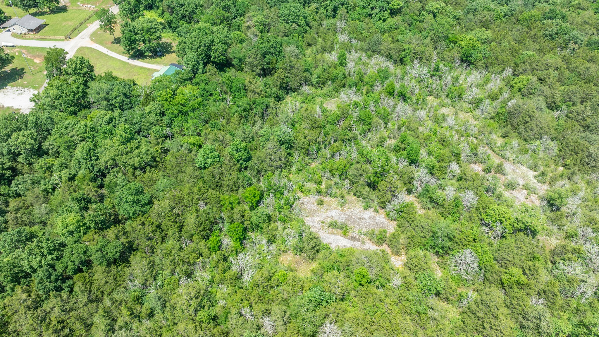 1115 Miller Road Lewisburg, TN 37091 - Photo 44 of 48