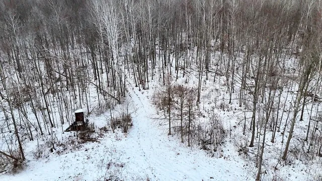 $115,000 | West Dana Road, Coleman, MI 48618