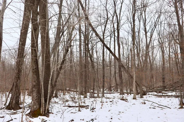 $115,000 | West Dana Road, Coleman, MI 48618