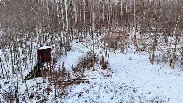 $115,000 | West Dana Road, Coleman, MI 48618