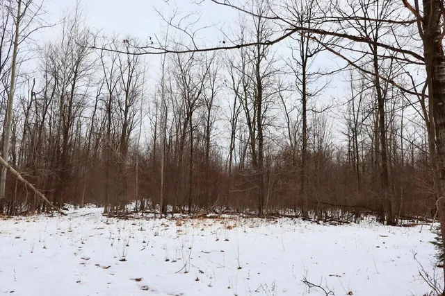 $115,000 | West Dana Road, Coleman, MI 48618