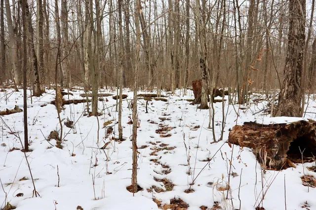 $115,000 | West Dana Road, Coleman, MI 48618