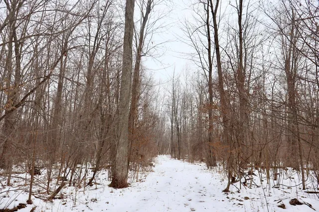 $115,000 | West Dana Road, Coleman, MI 48618