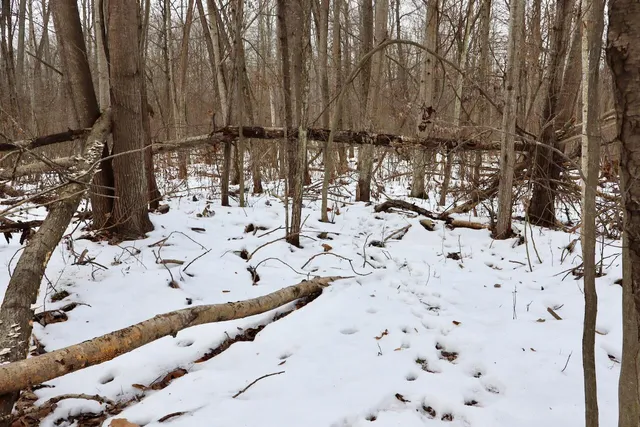 $115,000 | West Dana Road, Coleman, MI 48618