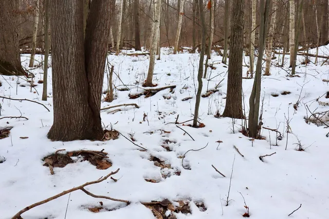 $115,000 | West Dana Road, Coleman, MI 48618