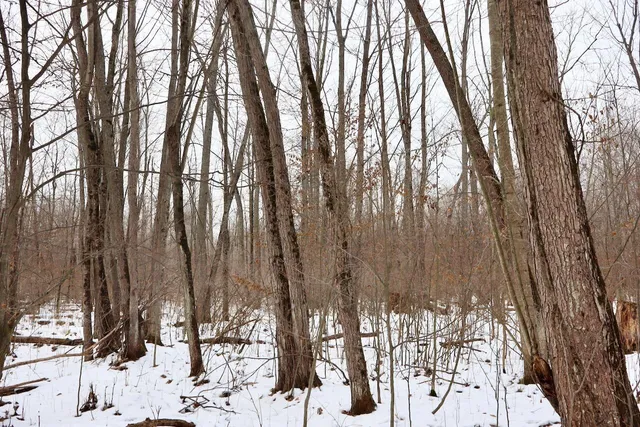 $115,000 | West Dana Road, Coleman, MI 48618