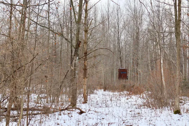 $115,000 | West Dana Road, Coleman, MI 48618