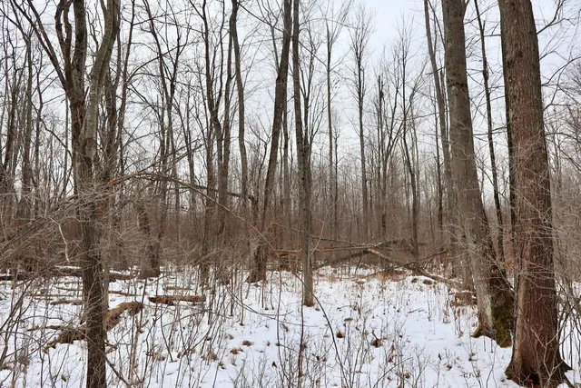 $115,000 | West Dana Road, Coleman, MI 48618