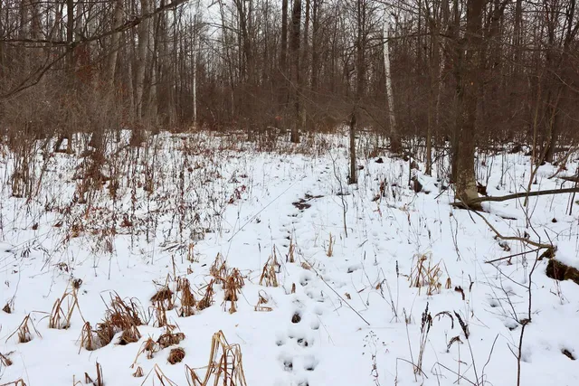 $115,000 | West Dana Road, Coleman, MI 48618