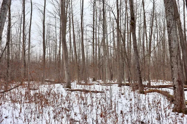 $115,000 | West Dana Road, Coleman, MI 48618